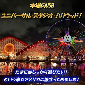 【ご褒美旅行】アメリカ本場のテーマパークに行ってきました！
