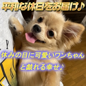 🐾平和な休日をおすそわけ🐾